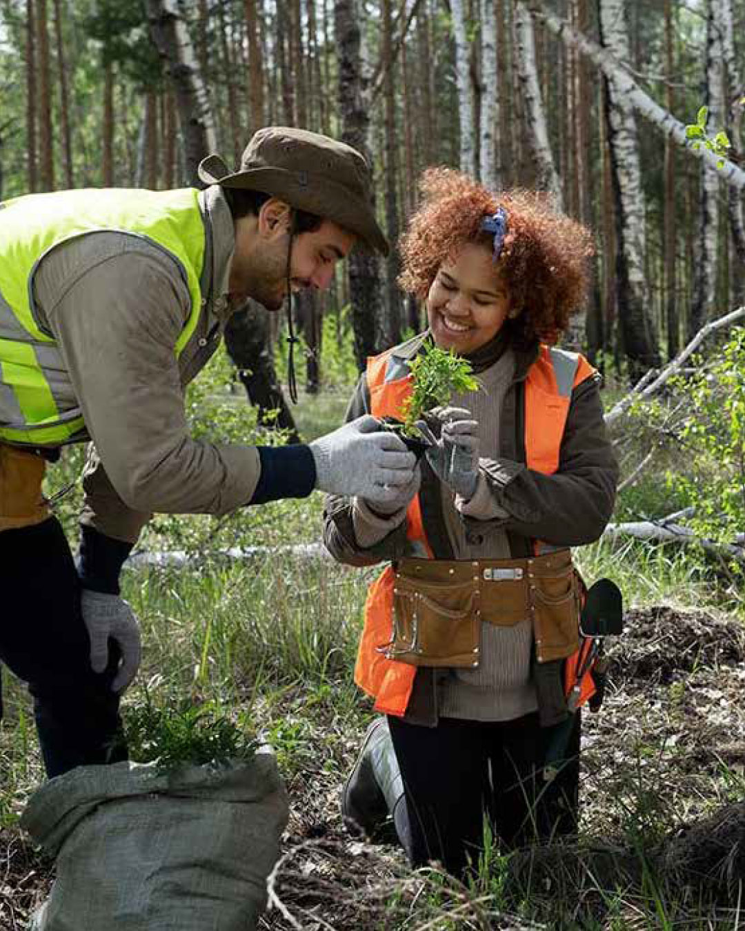 Choosing the right community environmental project for your business ...